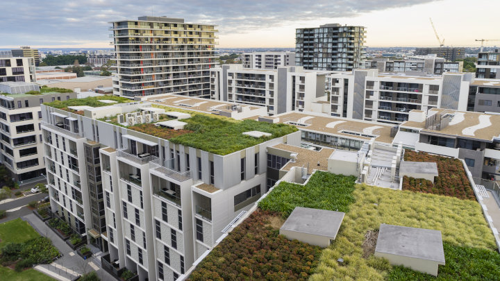 Groene daken: combinatie van energie-efficiëntie en duurzame architectuur in de bouw